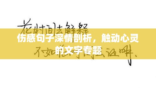 伤感句子深情剖析，触动心灵的文字专题