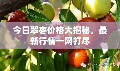 今日翠枣价格大揭秘，最新行情一网打尽