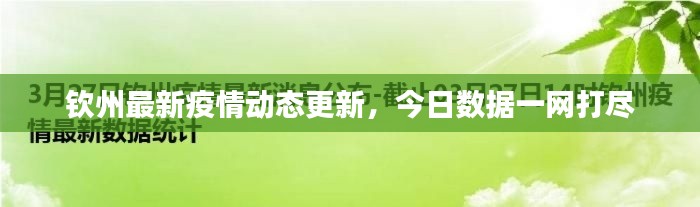 钦州最新疫情动态更新，今日数据一网打尽