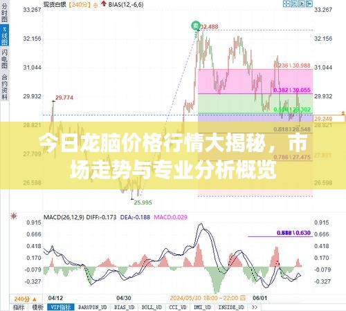 今日龙脑价格行情大揭秘，市场走势与专业分析概览