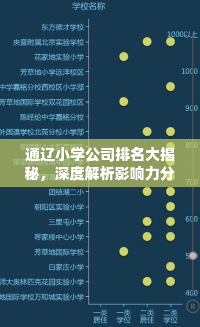 通辽小学公司排名大揭秘，深度解析影响力分析！