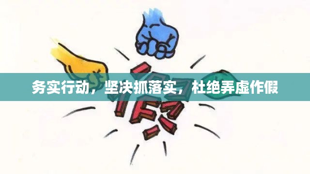 务实行动，坚决抓落实，杜绝弄虚作假