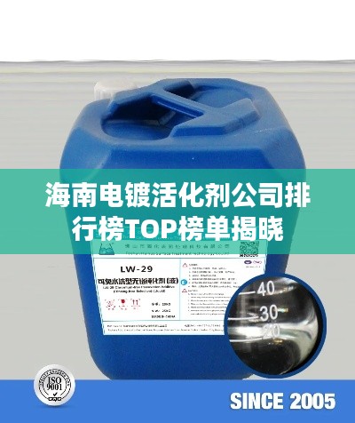 海南电镀活化剂公司排行榜TOP榜单揭晓