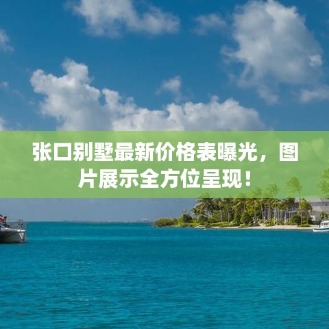 张口别墅最新价格表曝光，图片展示全方位呈现！