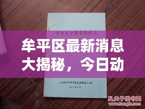 牟平区最新消息大揭秘，今日动态综述报道！