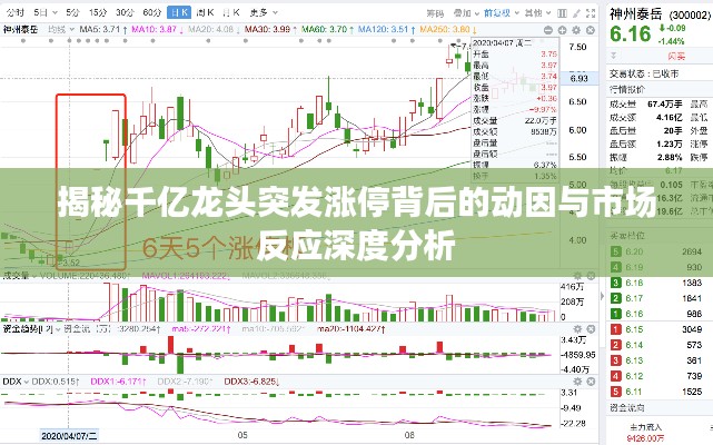 揭秘千亿龙头突发涨停背后的动因与市场反应深度分析