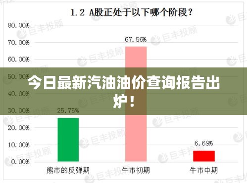 今日最新汽油油价查询报告出炉！