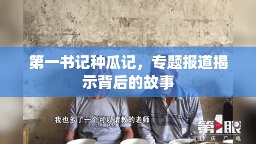 第一书记种瓜记，专题报道揭示背后的故事