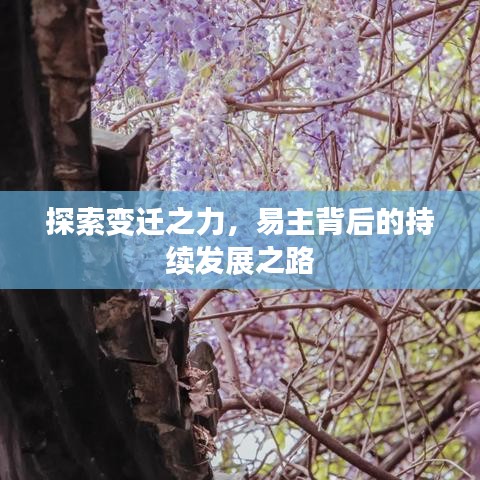 探索变迁之力，易主背后的持续发展之路