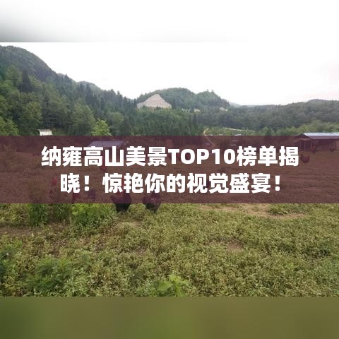 纳雍高山美景TOP10榜单揭晓！惊艳你的视觉盛宴！