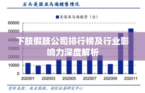 下肢假肢公司排行榜及行业影响力深度解析