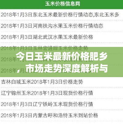 今日玉米最新价格肥乡，市场走势深度解析与影响因素探讨