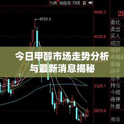 今日甲醇市场走势分析与最新消息揭秘