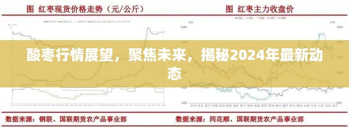 酸枣行情展望，聚焦未来，揭秘2024年最新动态