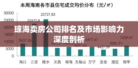 琼海卖房公司排名及市场影响力深度剖析