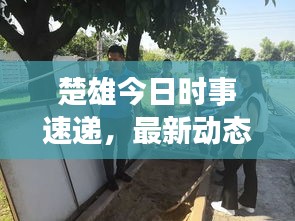 楚雄今日时事速递，最新动态新闻概览