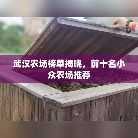 武汉农场榜单揭晓，前十名小众农场推荐