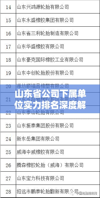 山东省公司下属单位实力排名深度解析