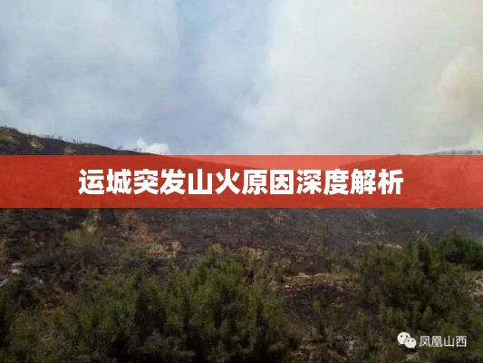 运城突发山火原因深度解析