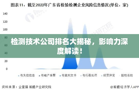 检测技术公司排名大揭秘，影响力深度解读！