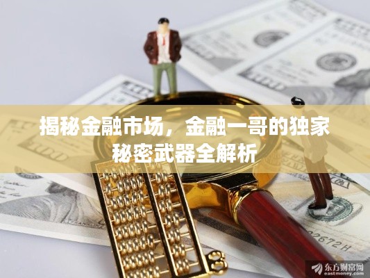 揭秘金融市场，金融一哥的独家秘密武器全解析