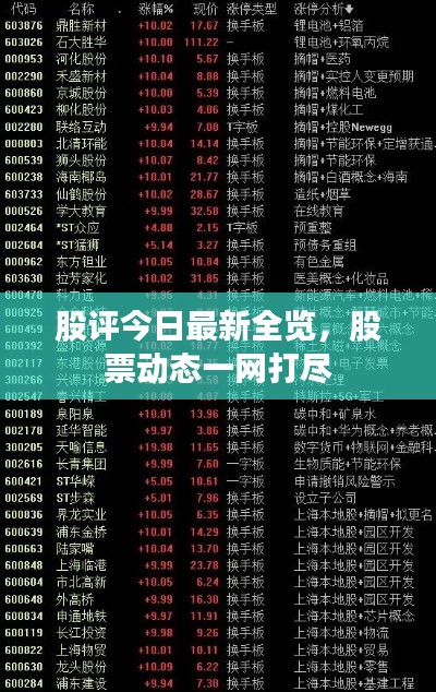 股评今日最新全览，股票动态一网打尽