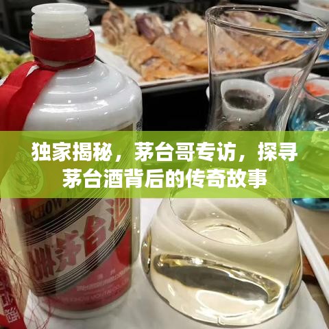 独家揭秘，茅台哥专访，探寻茅台酒背后的传奇故事