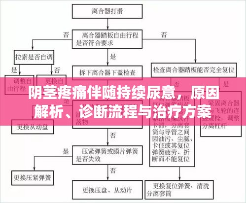 阴茎疼痛伴随持续尿意，原因解析、诊断流程与治疗方案