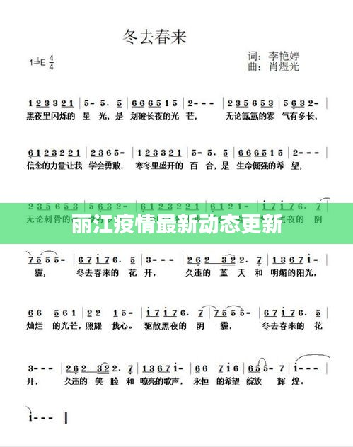 丽江疫情最新动态更新