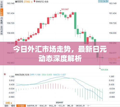 今日外汇市场走势，最新日元动态深度解析