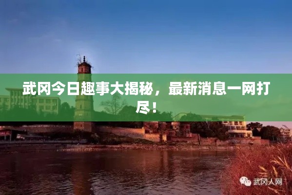 武冈今日趣事大揭秘，最新消息一网打尽！