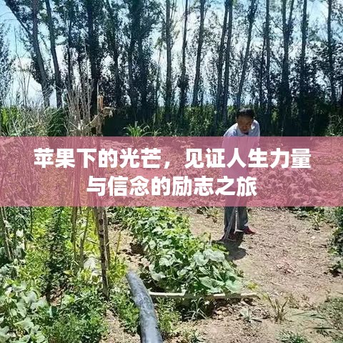 苹果下的光芒，见证人生力量与信念的励志之旅