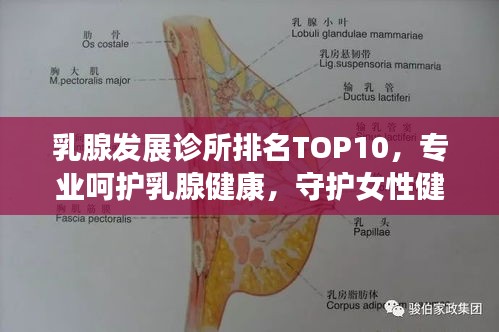 乳腺发展诊所排名TOP10，专业呵护乳腺健康，守护女性健康守护者