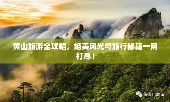 黄山旅游全攻略，绝美风光与旅行秘籍一网打尽！