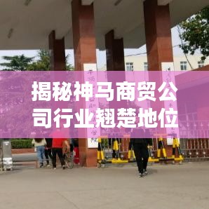 揭秘神马商贸公司行业翘楚地位，崛起之路与排名解析