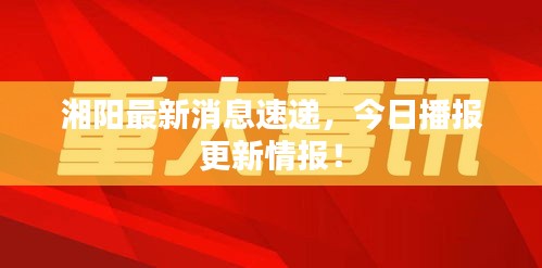 湘阳最新消息速递，今日播报更新情报！