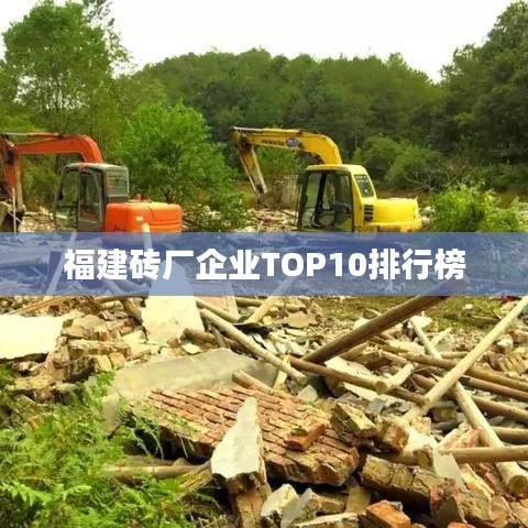 福建砖厂企业TOP10排行榜