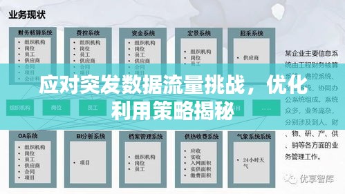 应对突发数据流量挑战，优化利用策略揭秘