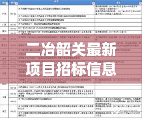 二冶韶关最新项目招标信息深度解读