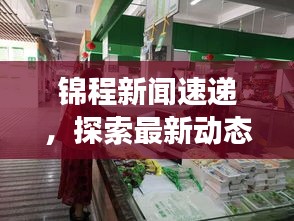 锦程新闻速递，探索最新动态，时代脉搏尽在掌握