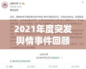 2021年度突发舆情事件回顾，深度解析背后的真相