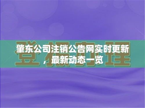 肇东公司注销公告网实时更新，最新动态一览