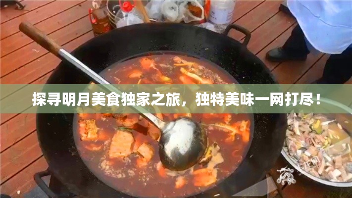 探寻明月美食独家之旅，独特美味一网打尽！