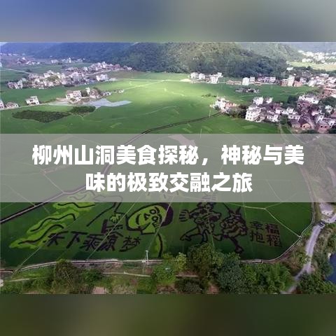 柳州山洞美食探秘，神秘与美味的极致交融之旅