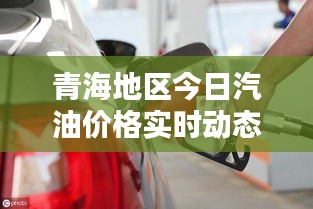 青海地区今日汽油价格实时动态解析