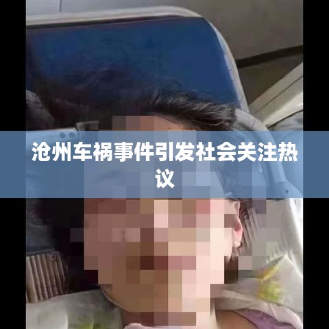 沧州车祸事件引发社会关注热议