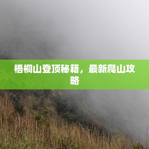 梧桐山登顶秘籍，最新爬山攻略