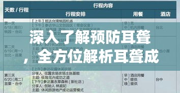 深入了解预防耳聋，全方位解析耳聋成因与应对之道