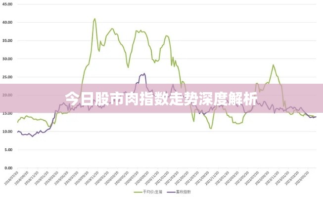 今日股市肉指数走势深度解析