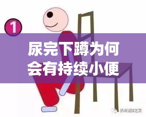 尿完下蹲为何会有持续小便流出？深度解析原因及应对方法